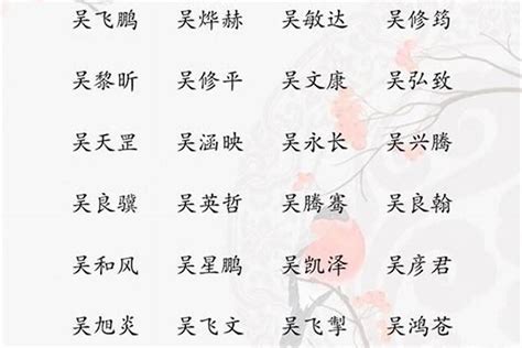 吳取名|吴姓寓意好的男孩名字（精选200个）